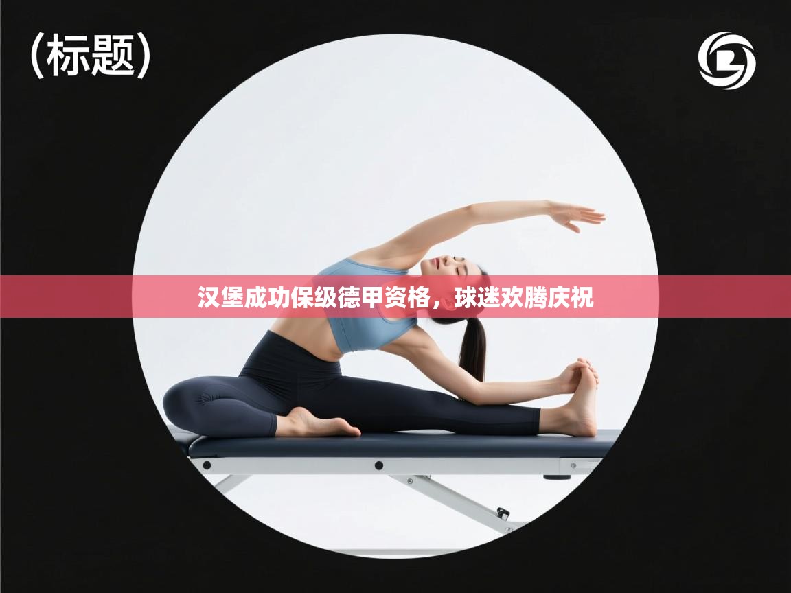 汉堡成功保级德甲资格，球迷欢腾庆祝  第1张